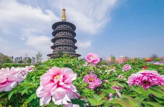 河南职业技能等级考试计划（2），5月批次