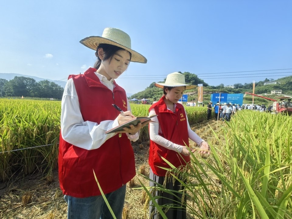 济南农业技术员证书考试｜报考条件及报名流程
