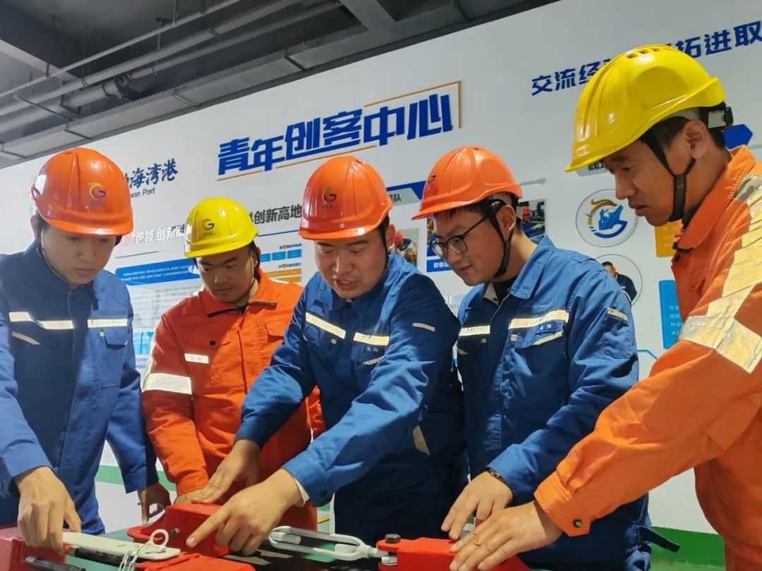 国务院关于推行终身职业技能培训制度的意见