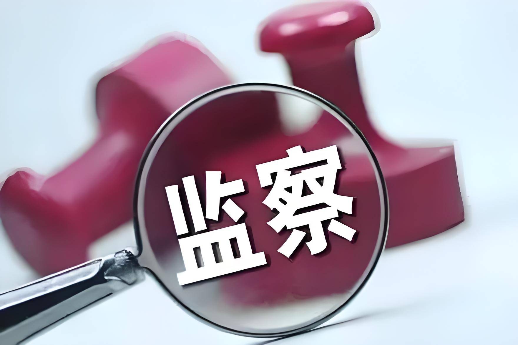 中华人民共和国监察法